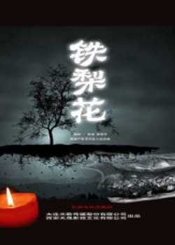 滨Ӿ