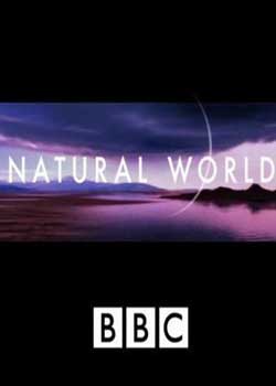 BBC.Ȼ.Ȼʱ