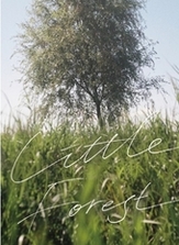 Сɭ
